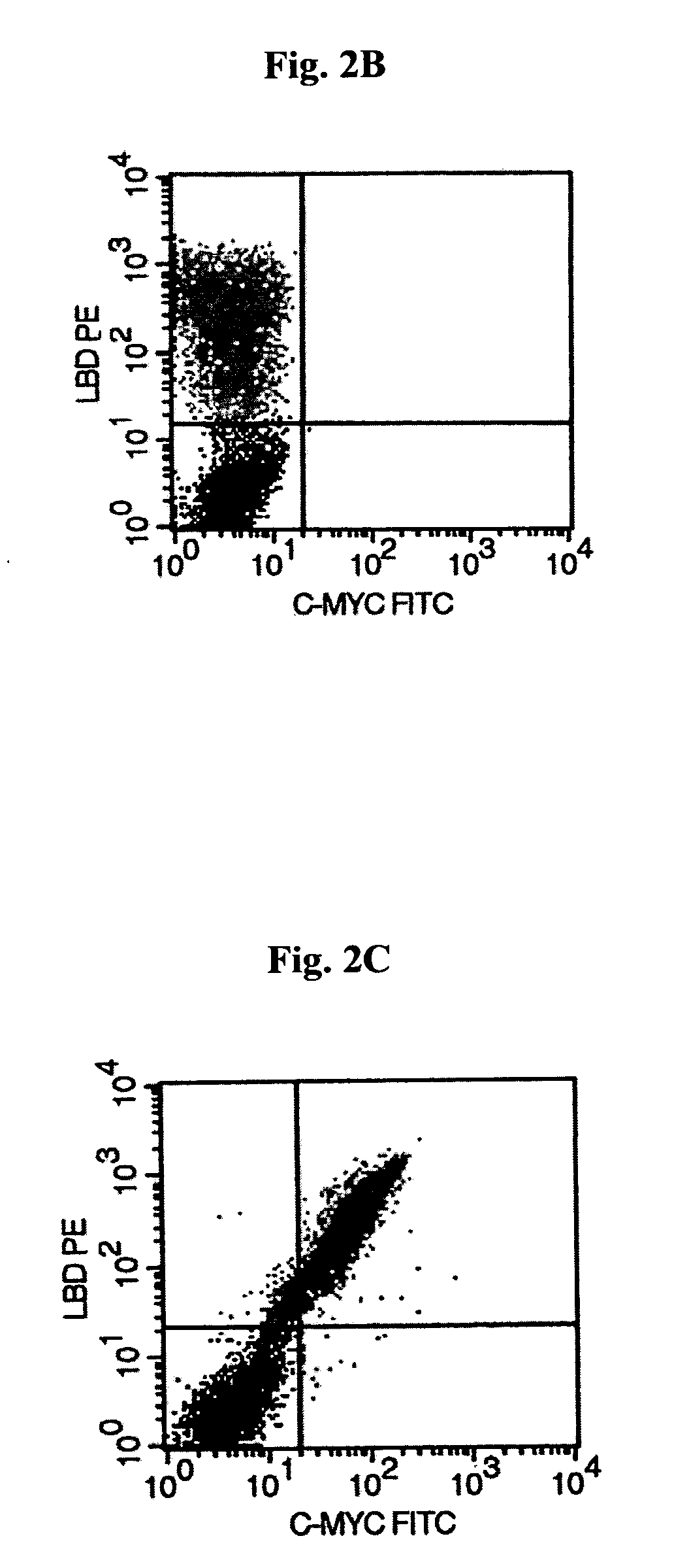 High affinity leptins and leptin antagonists