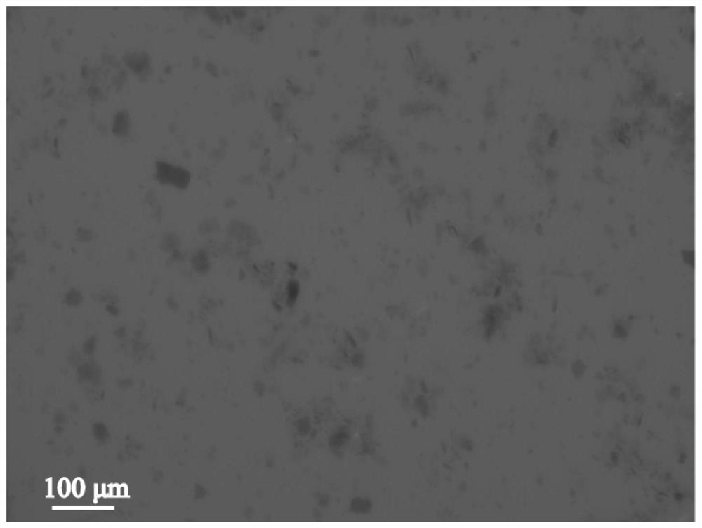 A kind of nano-silver loaded graphene and quantum dot co-doped polymer and its application