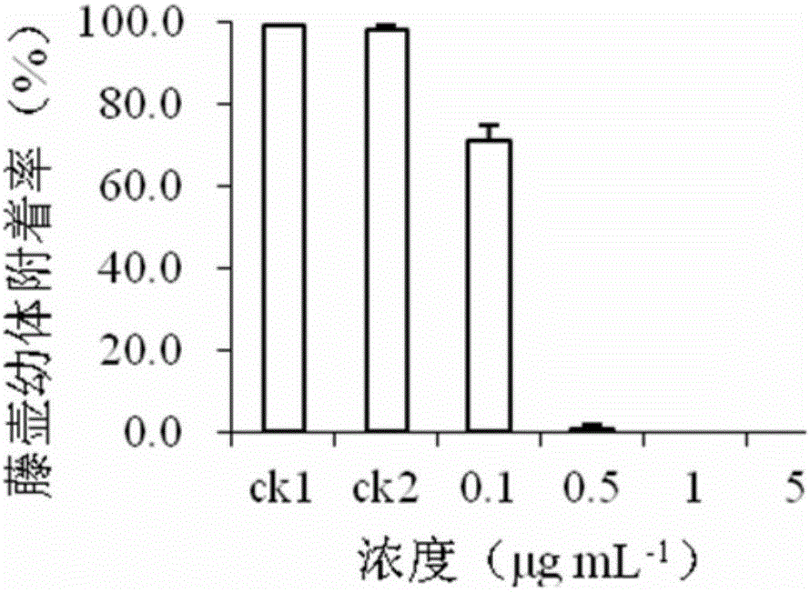 Application of nereistoxin compound in prevention of marine biofouling