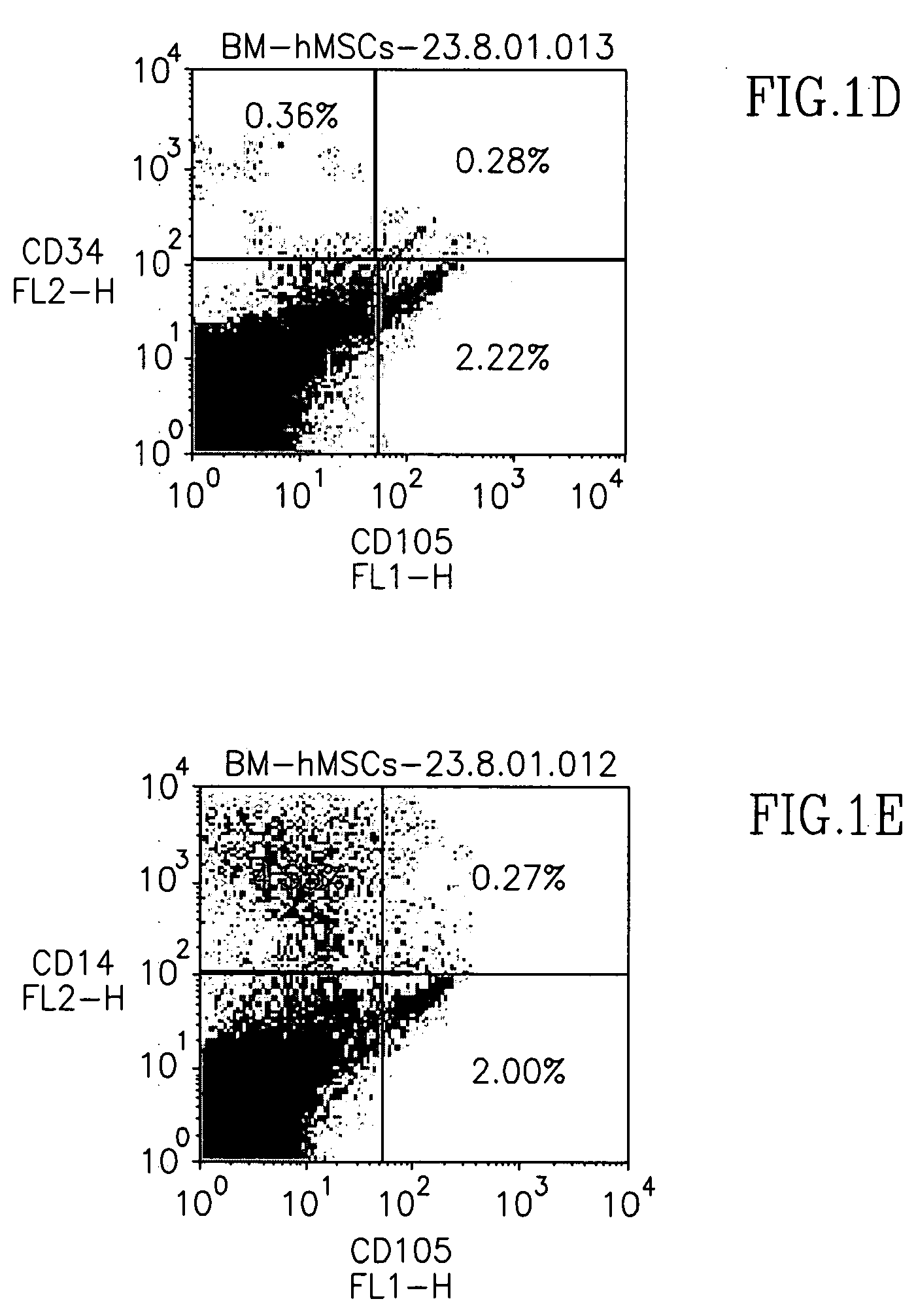 Methods of implating mesenchymal stem cells for tissue repair and formation