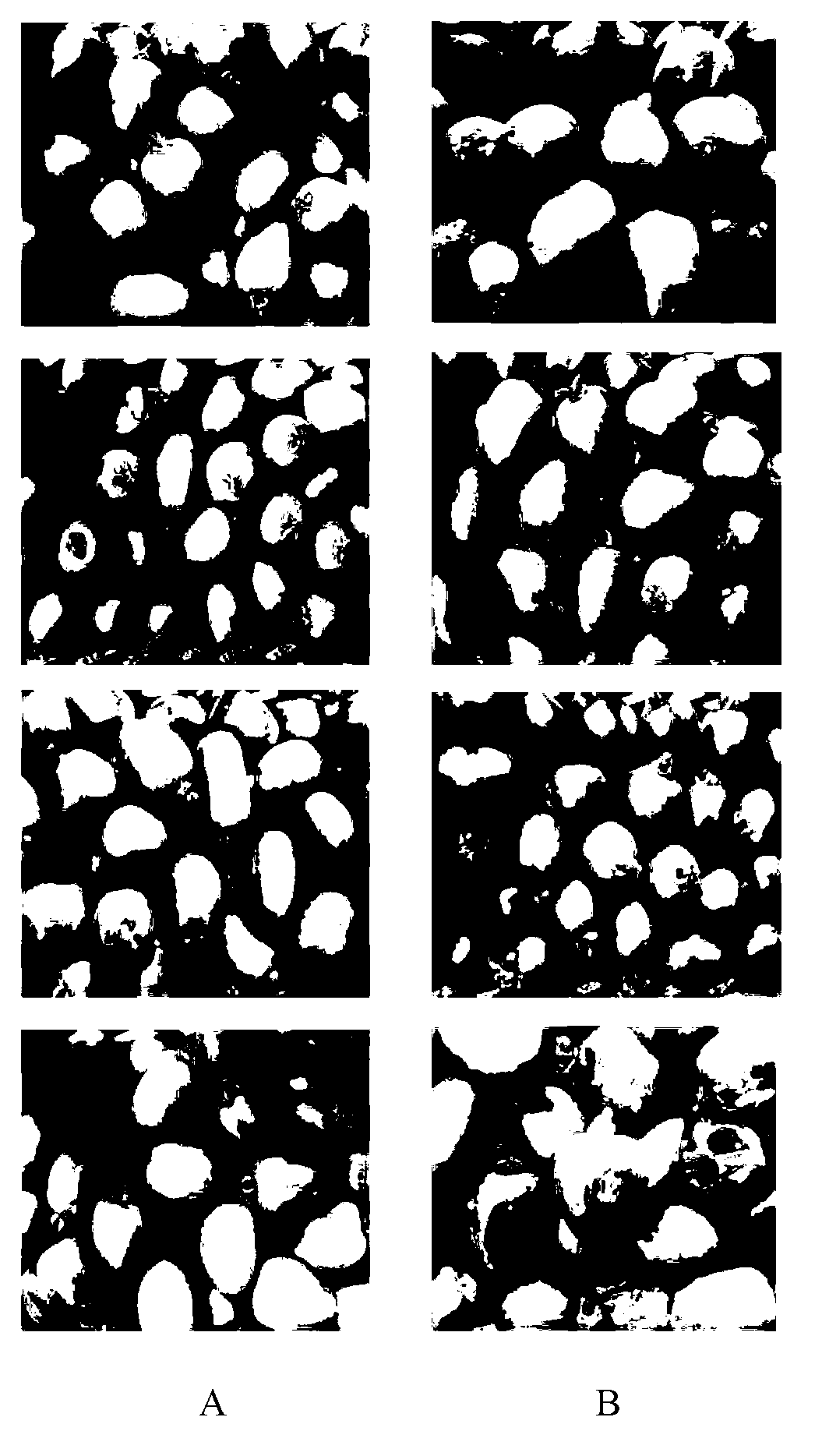 Application of seaweed oligosaccharide in fruit preservative preparation and method thereof