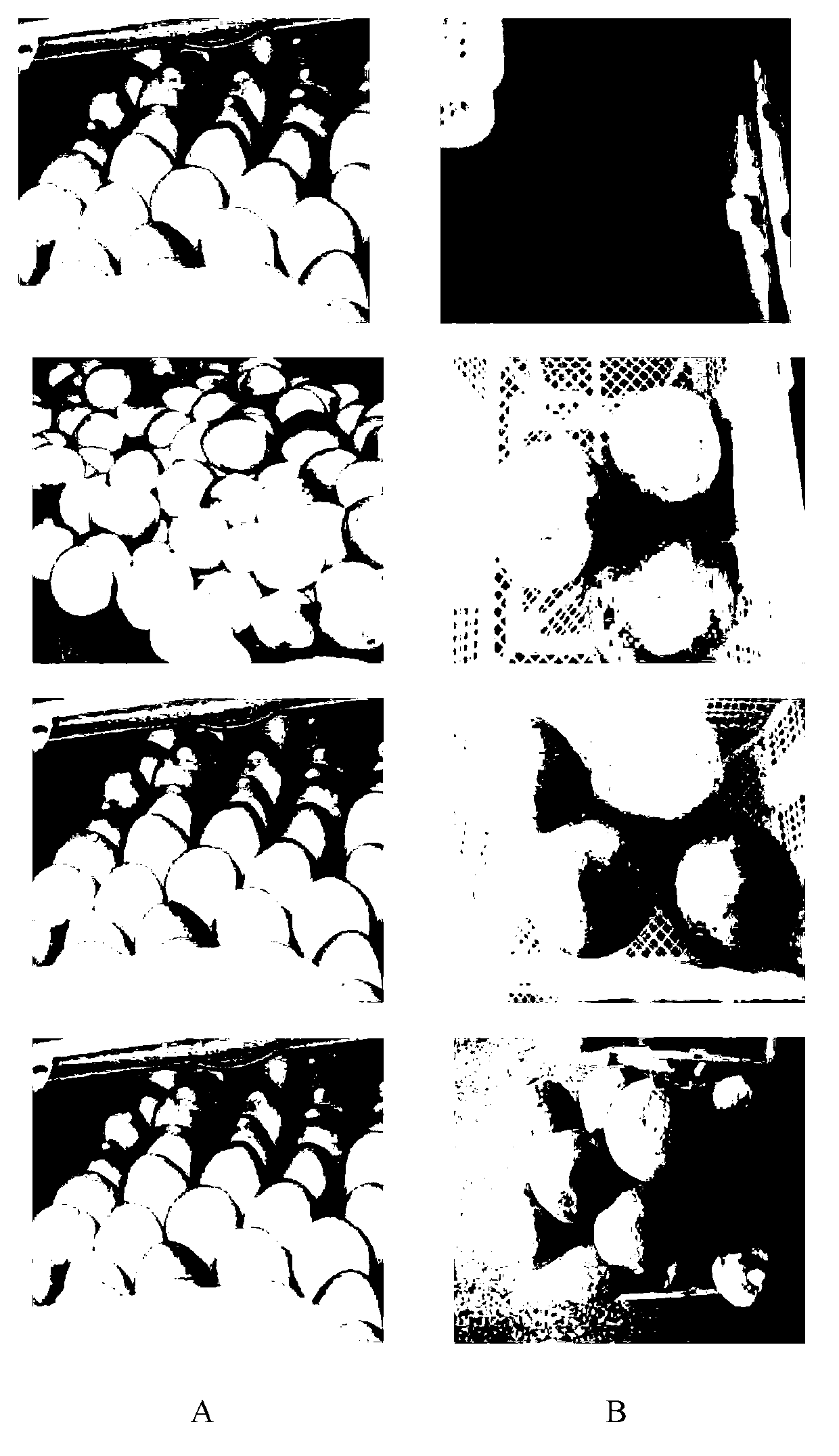 Application of seaweed oligosaccharide in fruit preservative preparation and method thereof