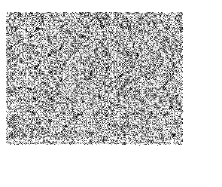 Method of producing porous glass