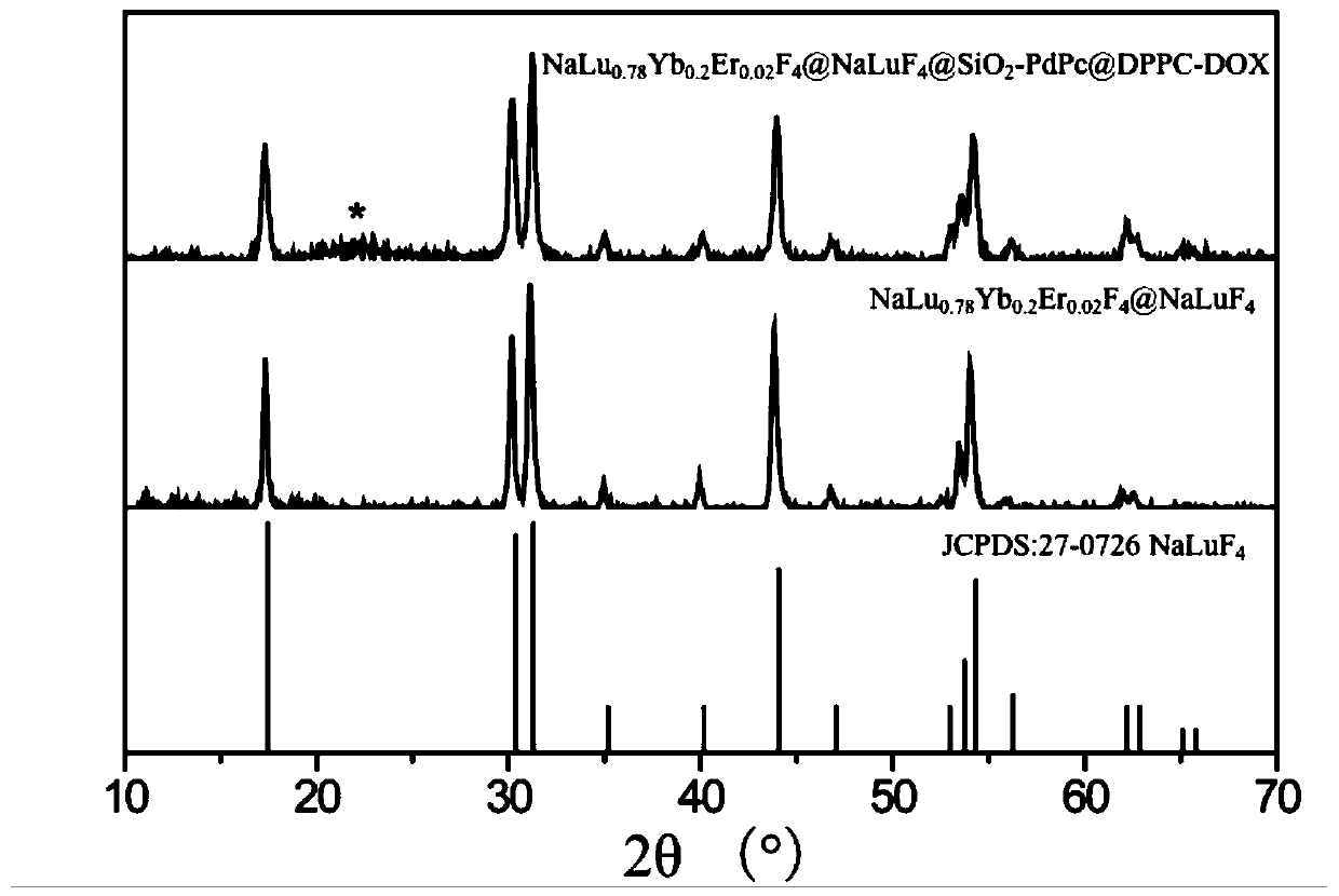 An upconversion luminescence-thermal chemotherapy composite nanoprobe, its preparation method and application of programmed control of combined therapy