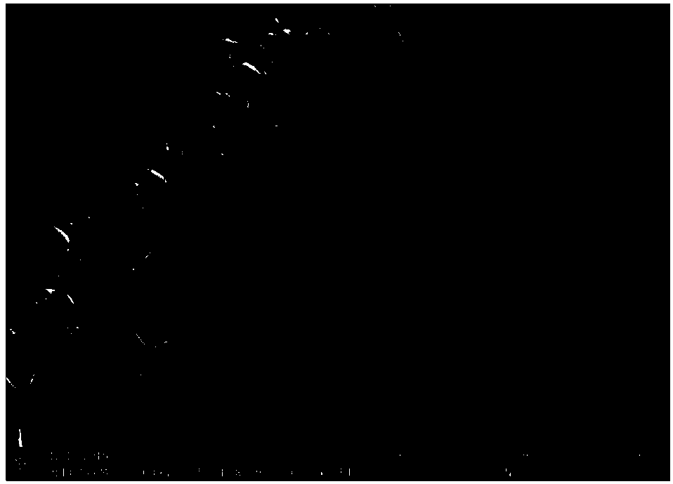 method for synthesizing delta-MnO2 nanosheet array