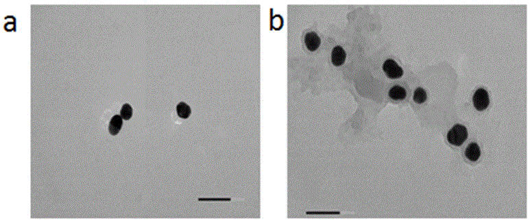 Surface enhanced raman scattering substrate for cell raman silent zone, preparation method and application thereof