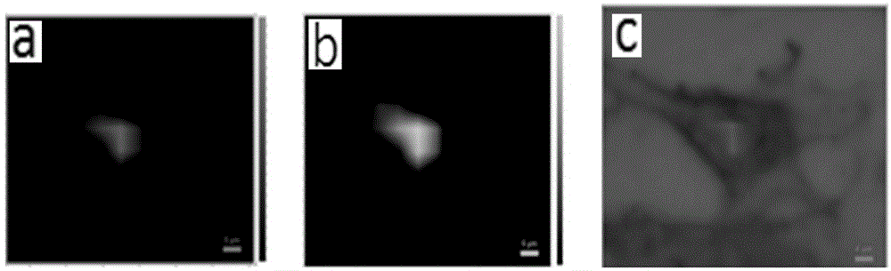 Surface enhanced raman scattering substrate for cell raman silent zone, preparation method and application thereof