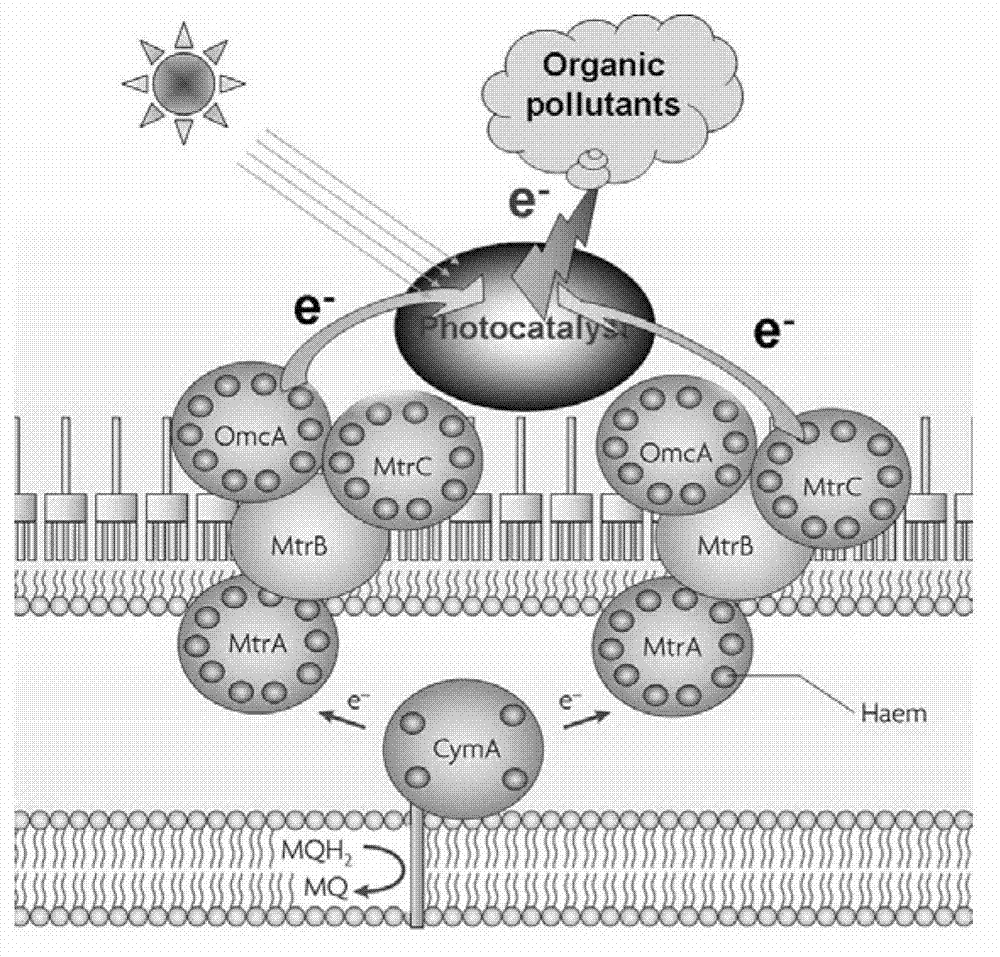 Method for degrading organic pollutant through nanometer material photo-reduction and assisted by electricigens