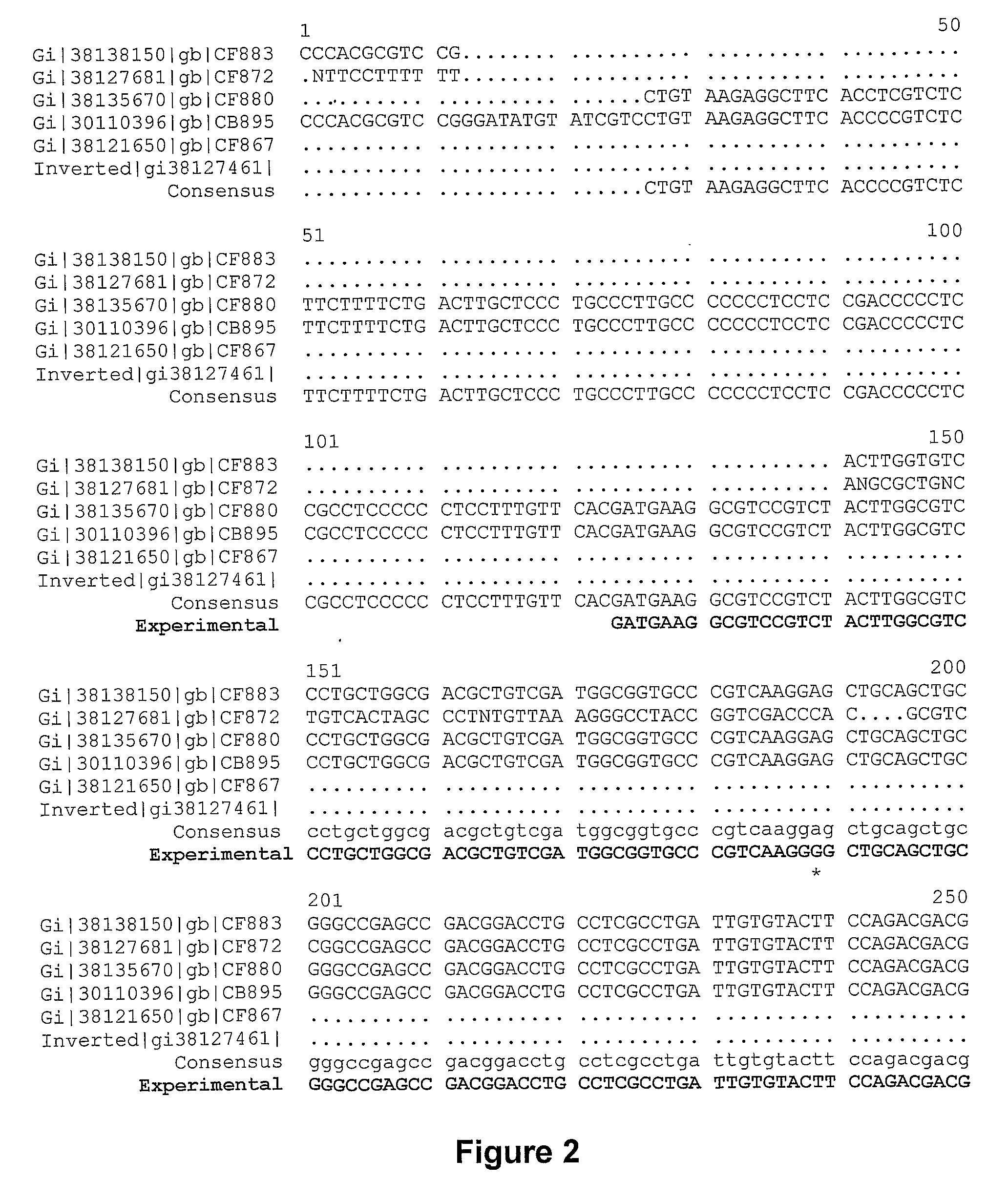 Endo-N-Acetyl-Beta-D-Glucosaminidase Enzymes of Filamentous Fungi