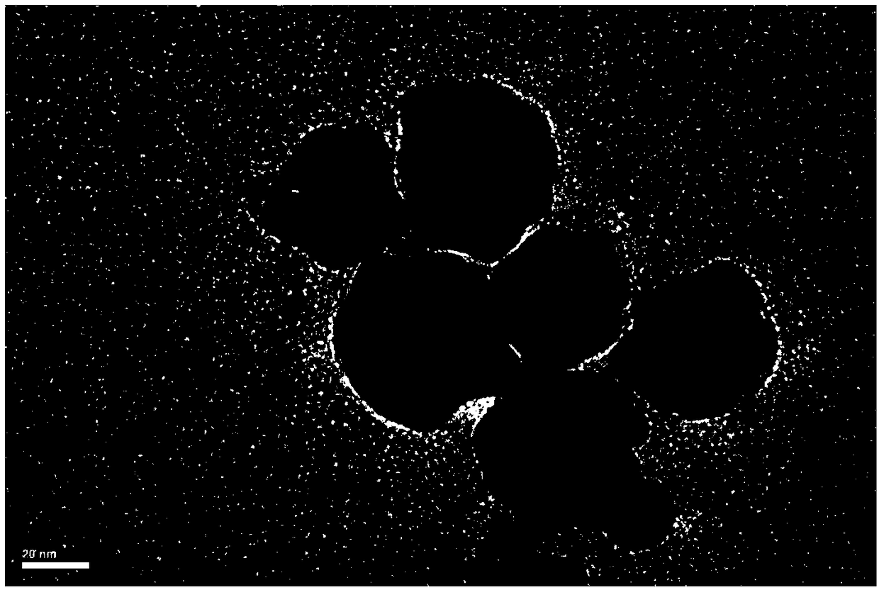 C-reactive protein detection reagent and SERS detection method