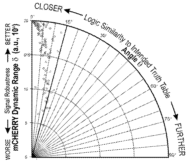 Inducible dimerization of recombinases