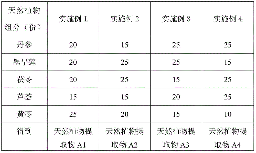 Plant compound gel for treating chloasma and preparation method thereof