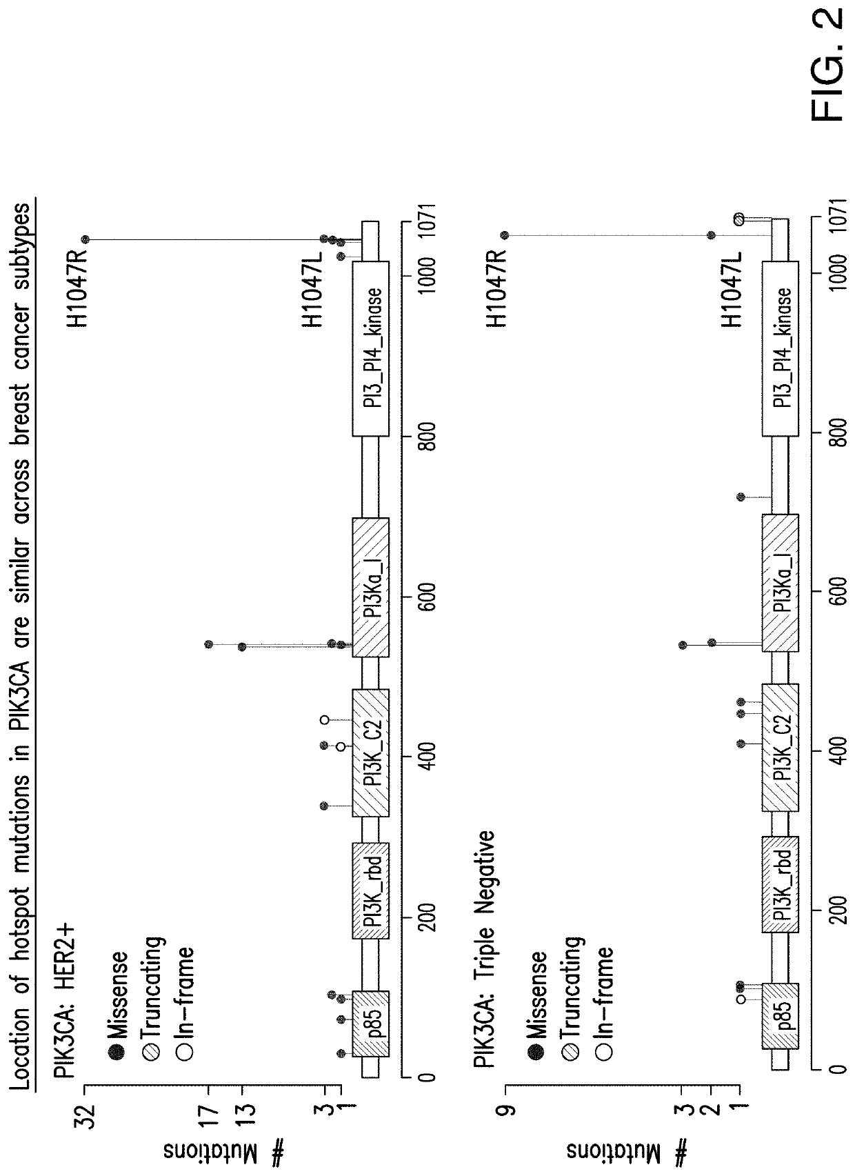 T cell receptors targeting pik3ca mutations and uses thereof