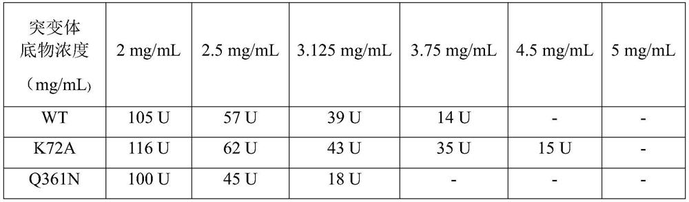 Leucine dehydrogenase mutant and application thereof