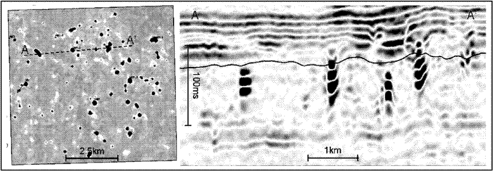 Determination method for small-scale heterogeneous collective volume