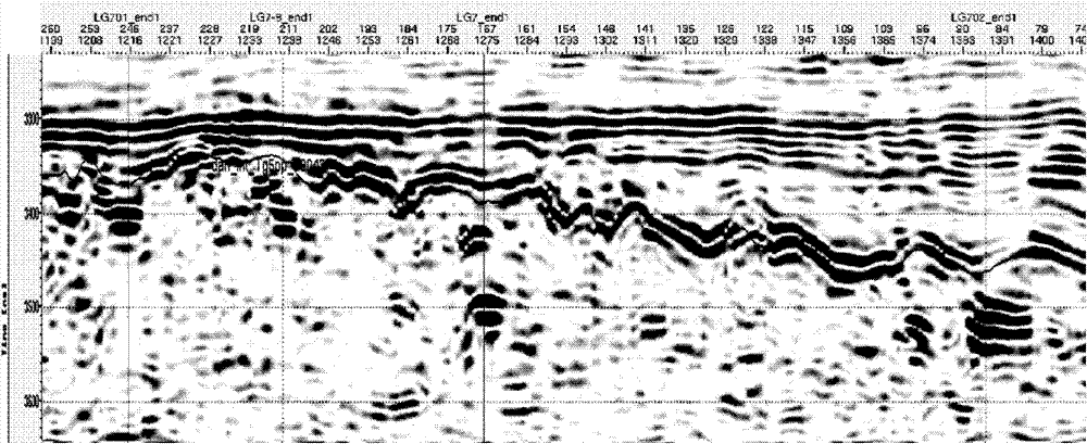 Determination method for small-scale heterogeneous collective volume