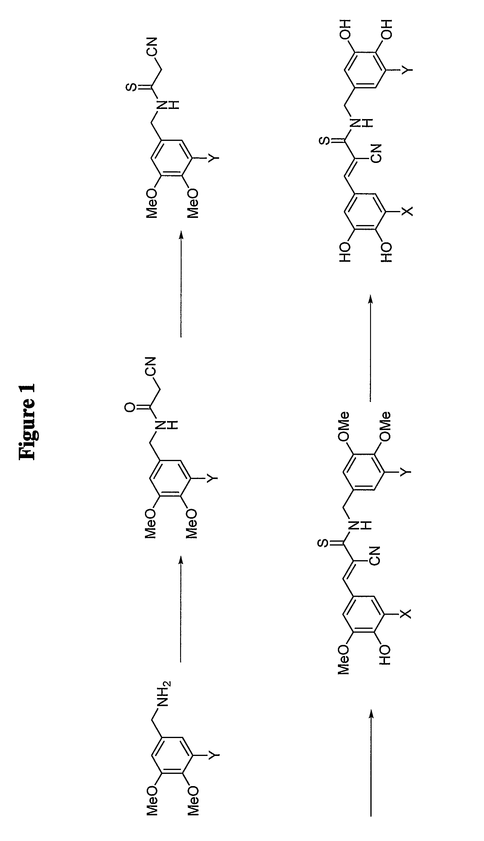 Protein kinase modulators and therapeutic uses thereof