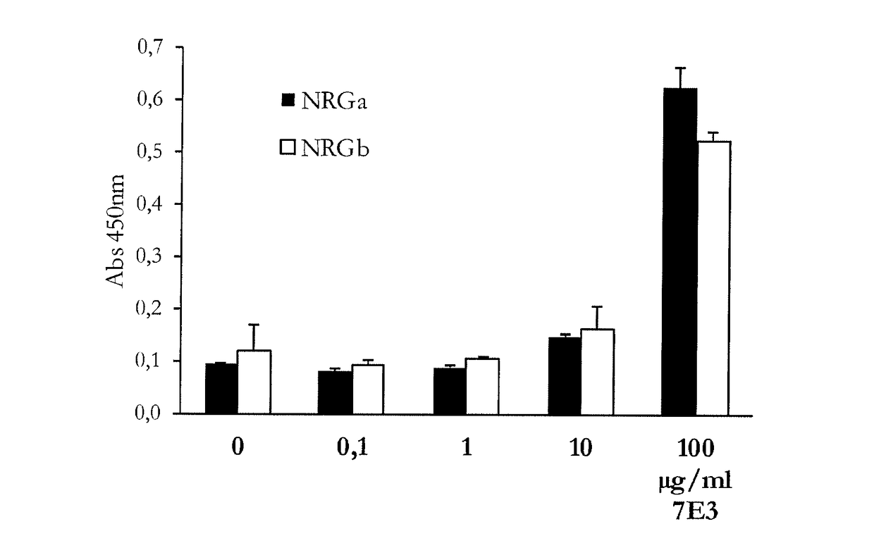 Anti-nrg1 (heregulin) antibodies and uses thereof