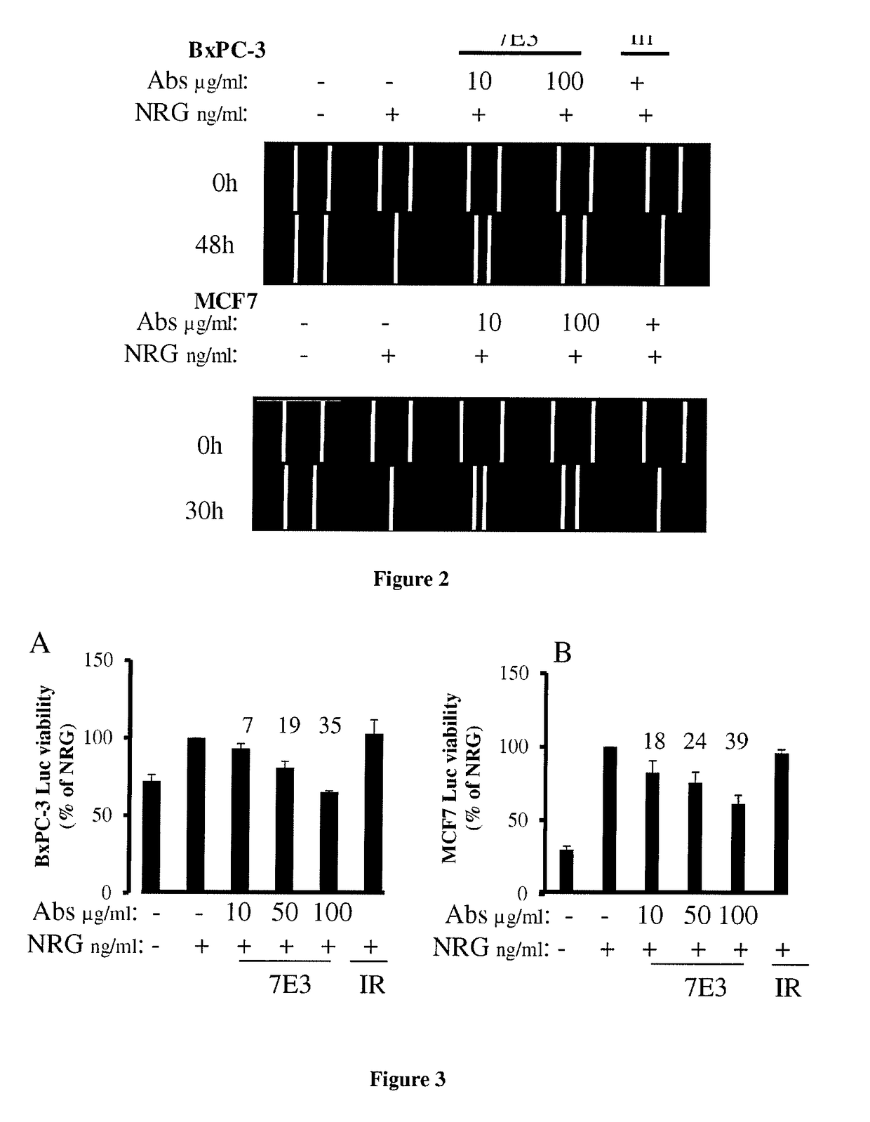 Anti-nrg1 (heregulin) antibodies and uses thereof