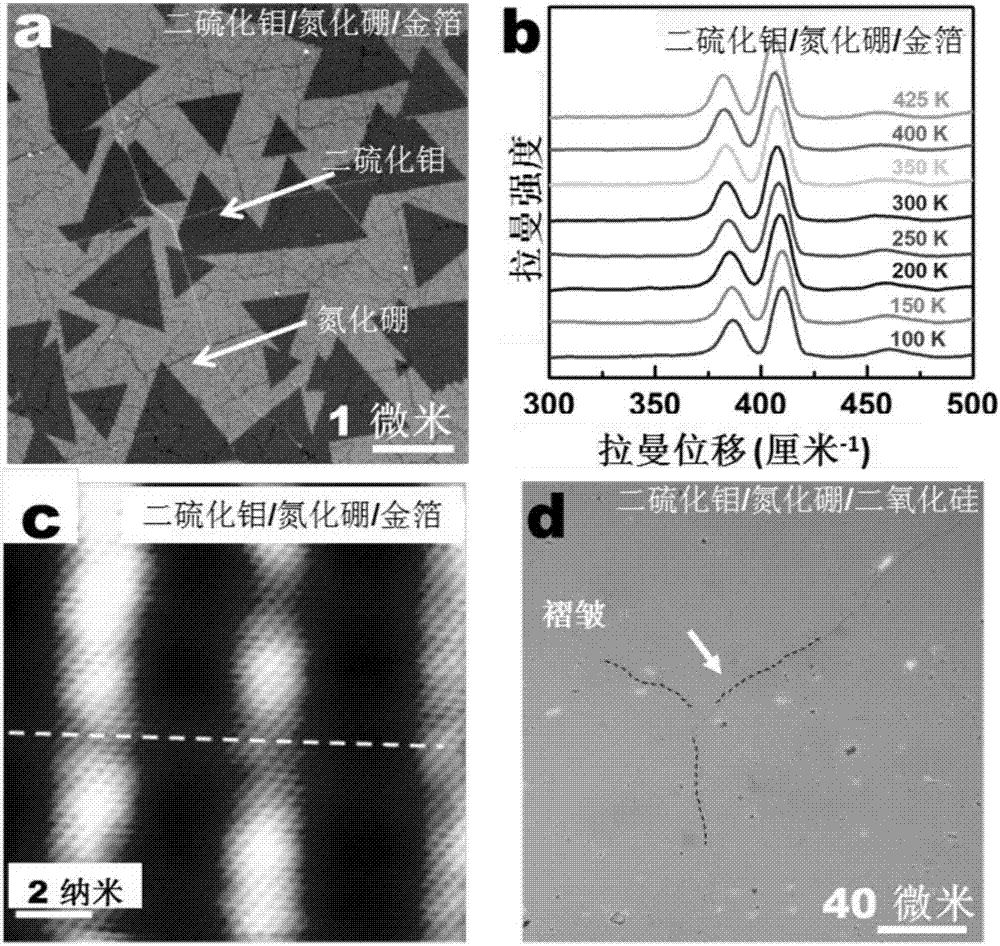 Method for preparing transition metal chalcogenide/two-dimensional layered material interlayer heterogeneous structure through two-step chemical vapor deposition method