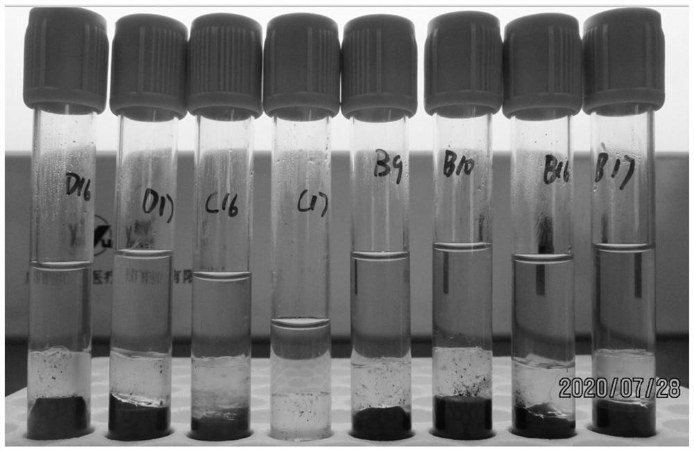 Blood coagulant as well as preparation method and application thereof