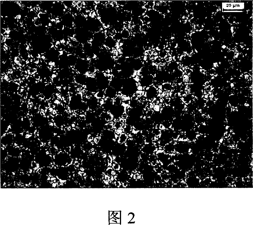 Technical method for preparing cold work die steel in high alloy through jetting deposition