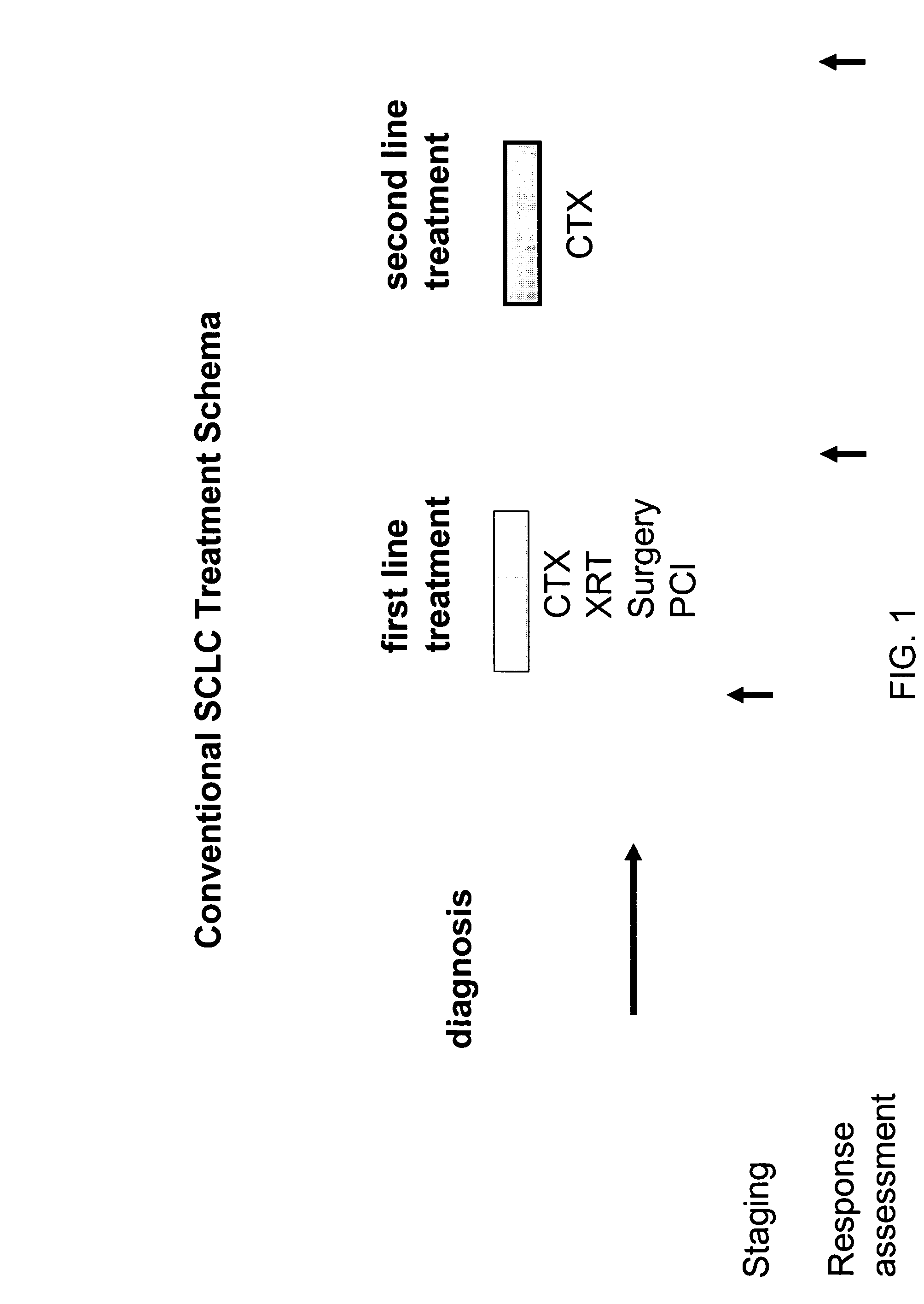 P53 vaccines for the treatment of cancers