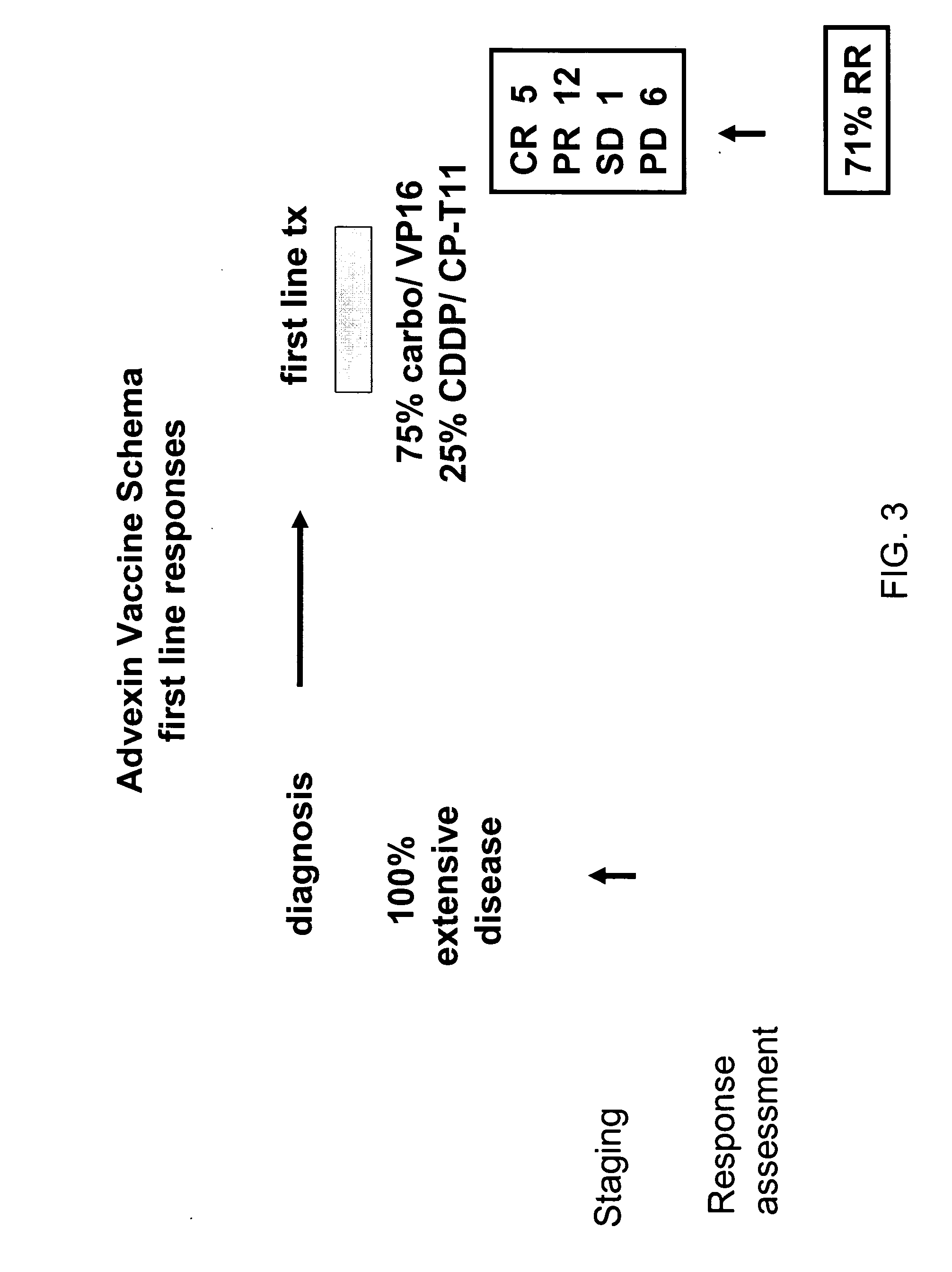 P53 vaccines for the treatment of cancers