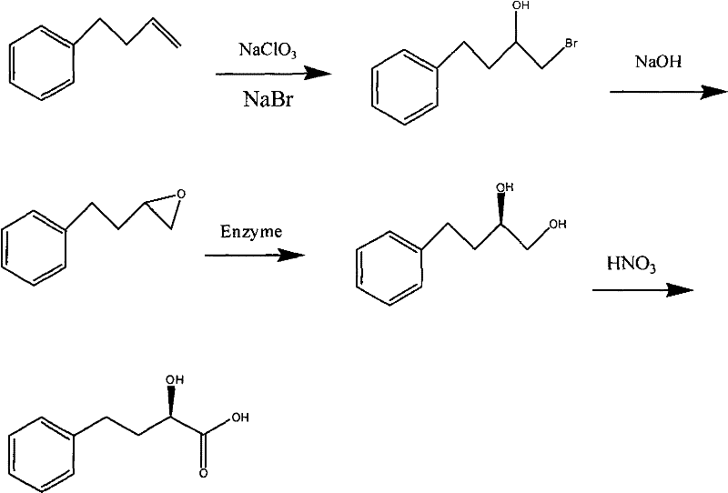 Preparation of (R) -4-phenyl-2-hydroxybutyrate