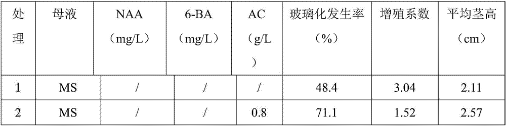 Medium for tissue culture of populus wulianensis