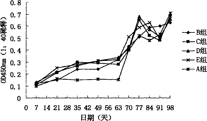 Synthetic peptide vaccine for resisting porcine circovirus and preparation method thereof