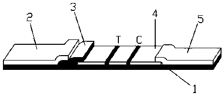 Application of urinary laminin in preparation of medical equipment for diagnosing bladder cancer