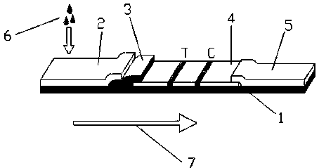 Application of urinary laminin in preparation of medical equipment for diagnosing bladder cancer