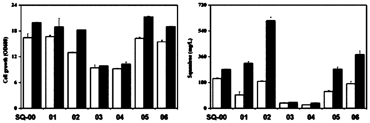 Squalene engineering strain, squalene synthetic plasmid, cell membrane space expansion plasmid and preparation methods