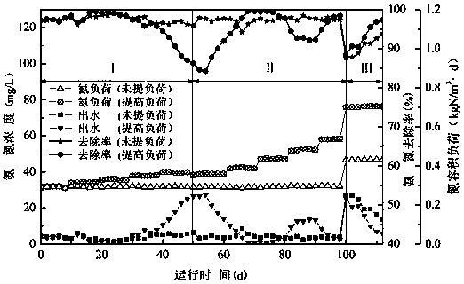 A method for increasing the formation rate of anaerobic ammonium oxidation granular sludge