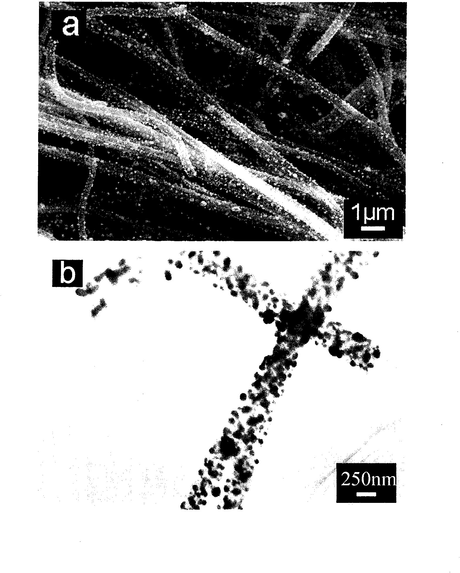 Palladium nanoparticle/carbon nanofiber compound, preparation method and application thereof in electrocatalysis