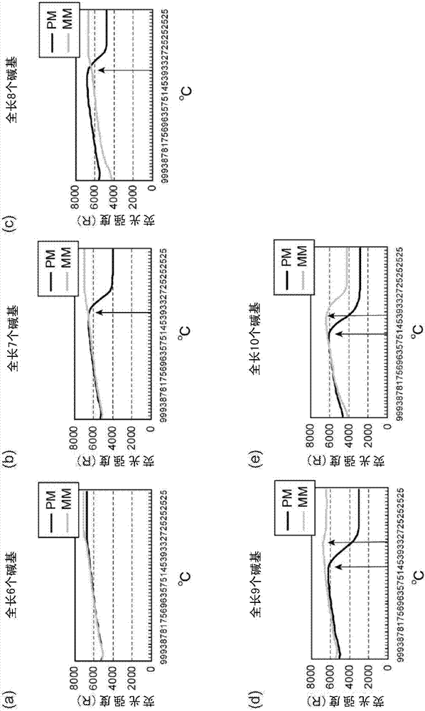 Visualizing modified nucleotides and nucleic acid interactions in single cells