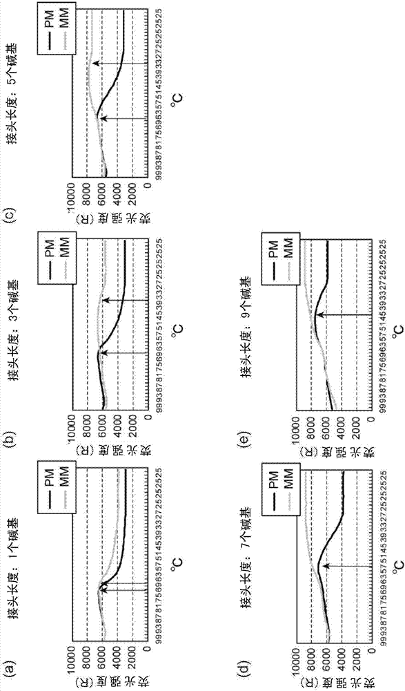 Visualizing modified nucleotides and nucleic acid interactions in single cells