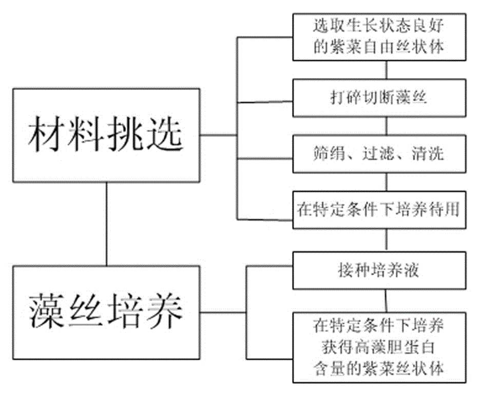 Laver free filament factory cultivation method based on function foodstuff development