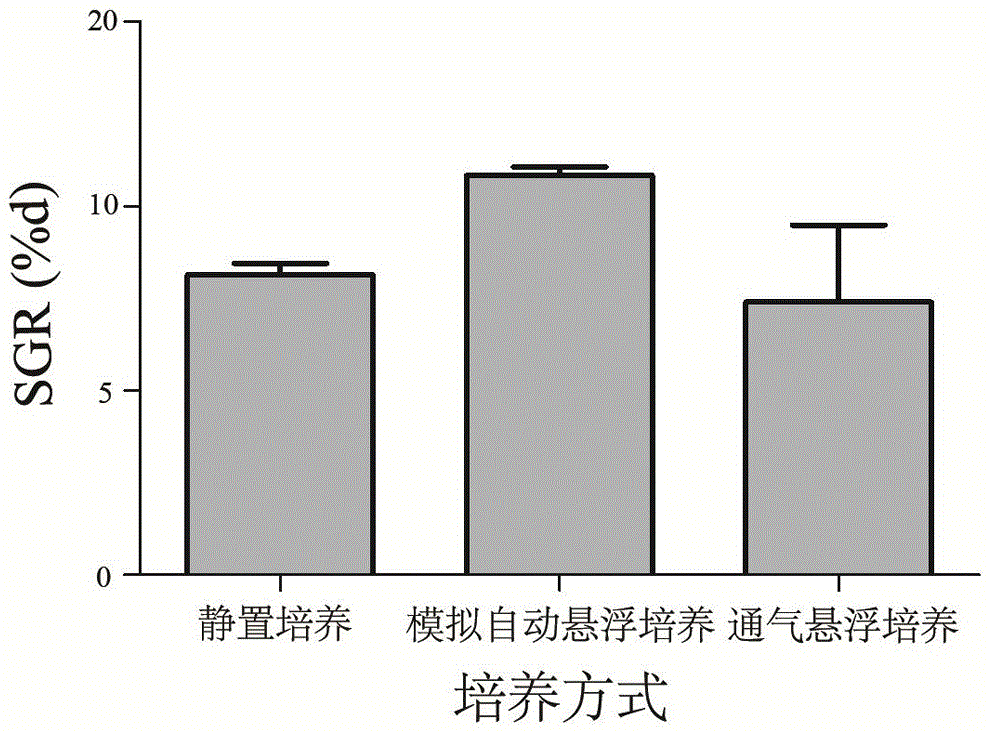 Laver free filament factory cultivation method based on function foodstuff development