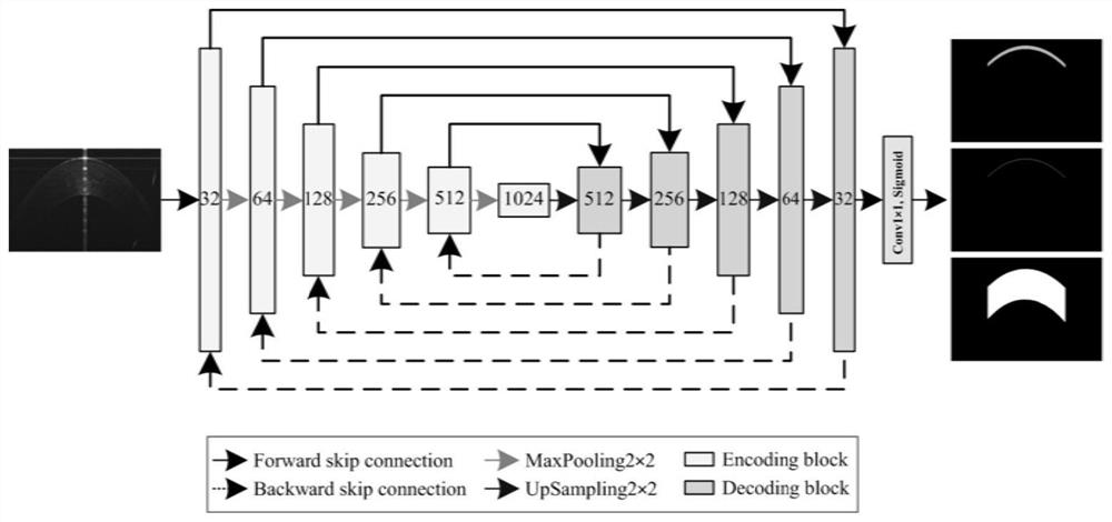 Boundary enhanced convolutional neural network for OCT image cornea layer segmentation