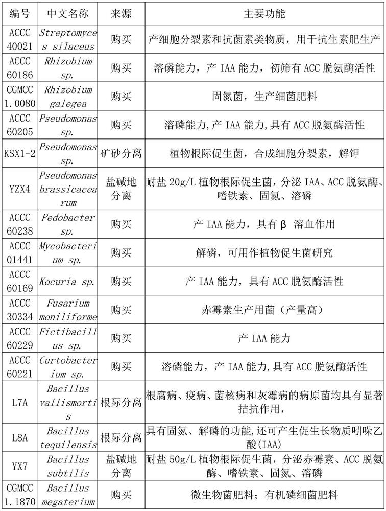 A germination-promoting bacteria composition and its application