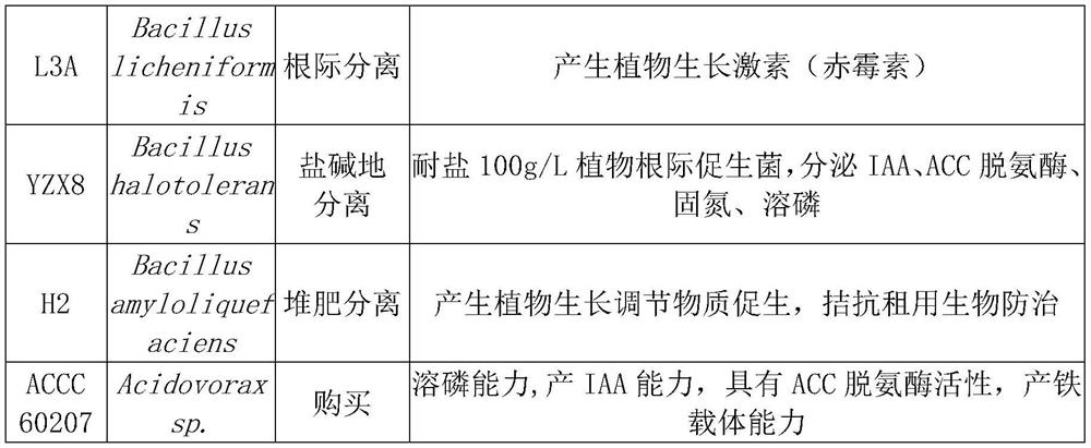 A germination-promoting bacteria composition and its application