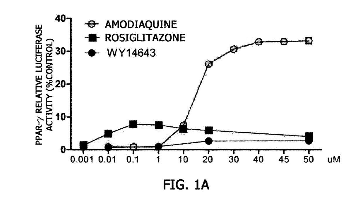 Pharmaceutical composition comprising amodiaquine and Anti-diabetes drug as effective ingredient for prevention or treatment of diabetes