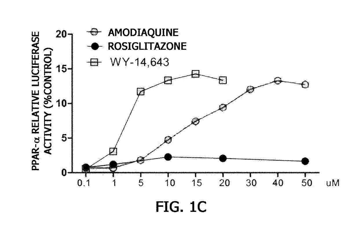 Pharmaceutical composition comprising amodiaquine and Anti-diabetes drug as effective ingredient for prevention or treatment of diabetes