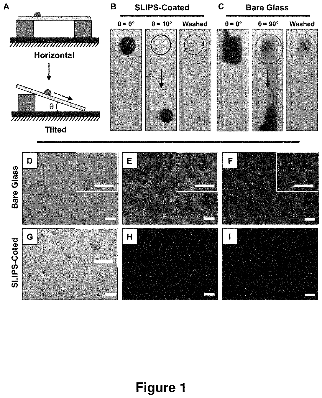 Slippery liquid-infused porous surfaces that prevent microbial surface fouling