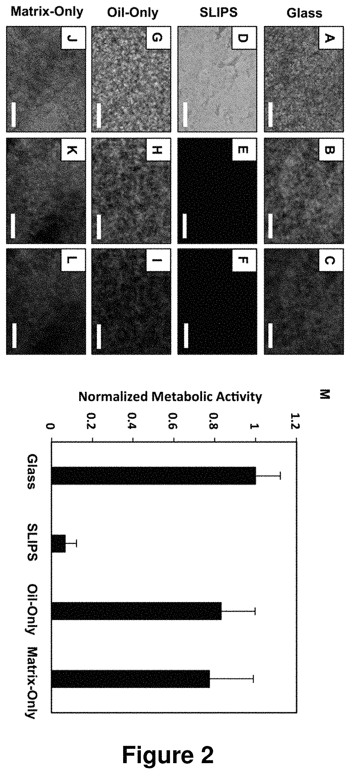 Slippery liquid-infused porous surfaces that prevent microbial surface fouling