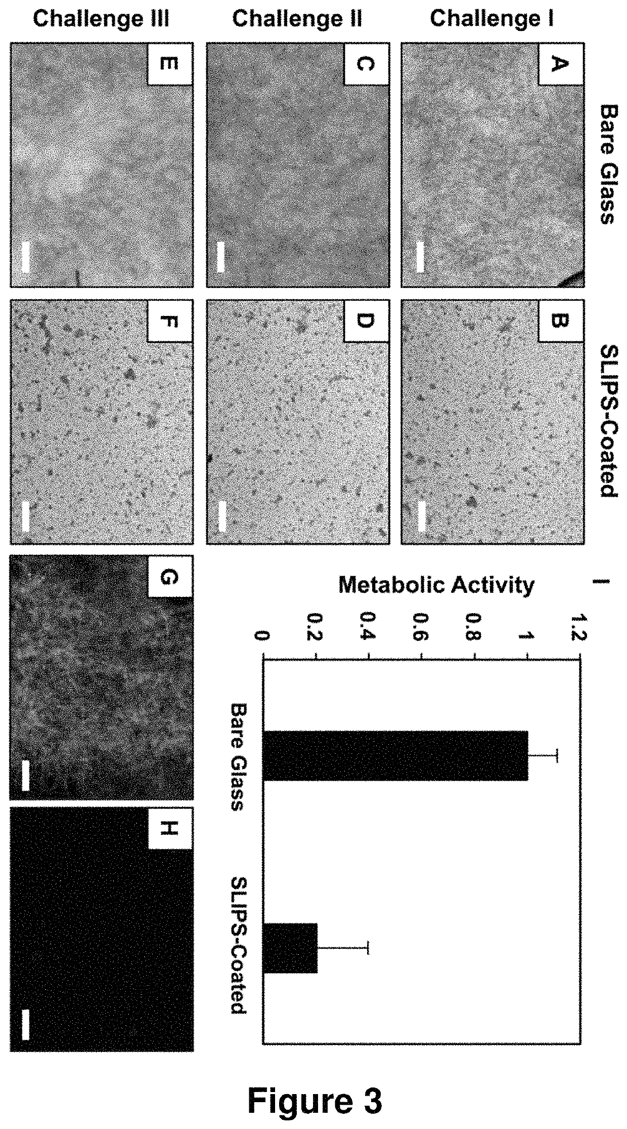 Slippery liquid-infused porous surfaces that prevent microbial surface fouling