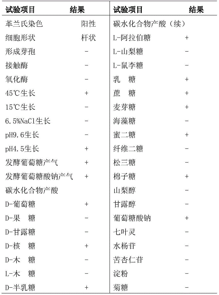 Lactobacillus reuteri and application thereof