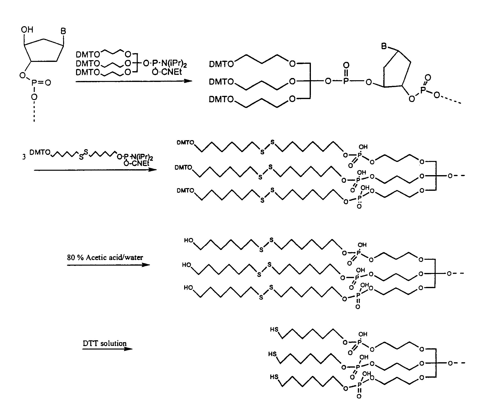 Nanoparticles having oligonucleotides attached thereto and uses therefor